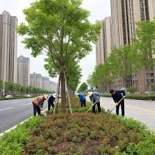 2026美加墨世界杯官网 提高城市绿化水平