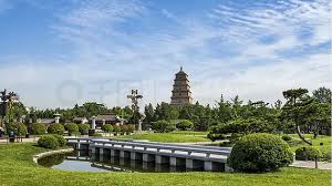 世界杯官网 枣阳园林绿化苗木价格市场价怎么询价